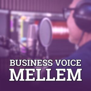 AI-PRO MEDIUMBIZZ